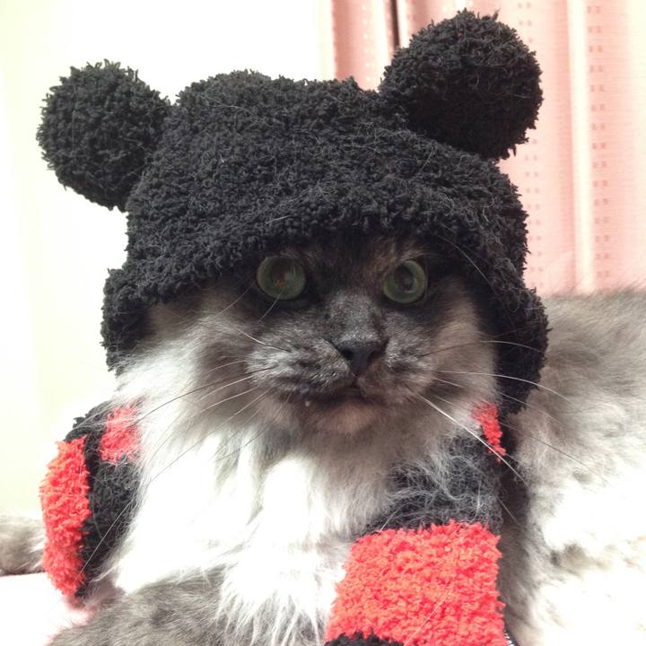 8ee094f5 8f8d 4bee 8658 da49995a131e