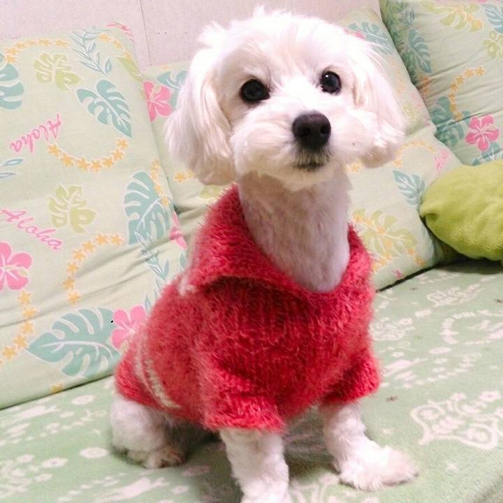 8ee1912d 71a5 402f b9d8 b6fda84e3258