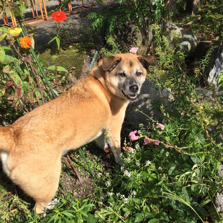 8ee40691 5640 457e b7d0 eb3f90f39c46