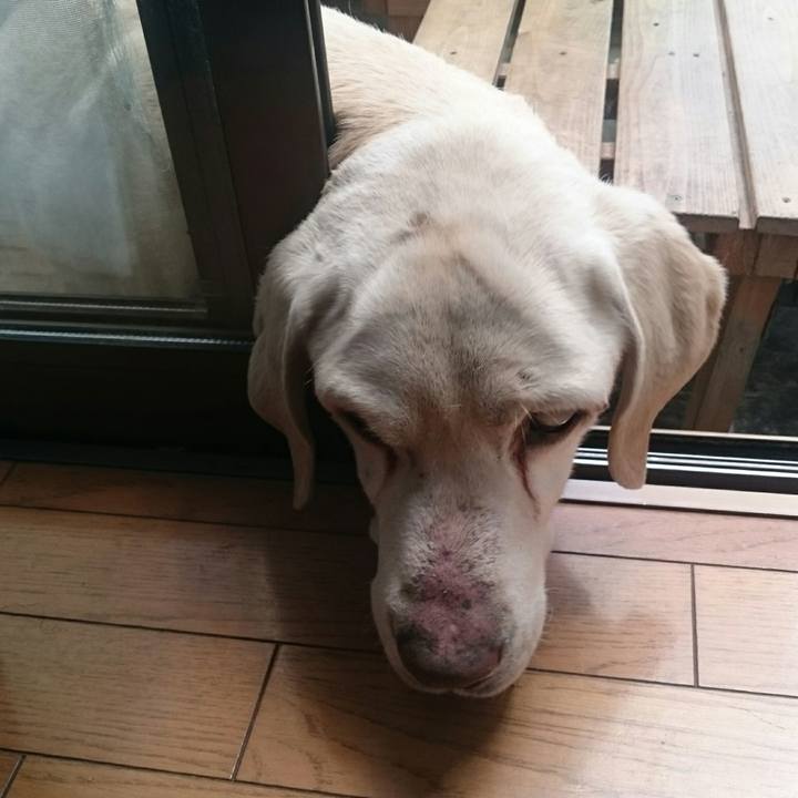 8ee44e16 1b14 499a b376 01dad9daa31c