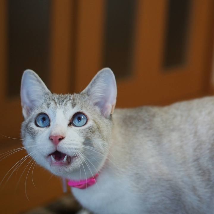 8ee47701 ebfc 49be bf8c 888cee86a8d3