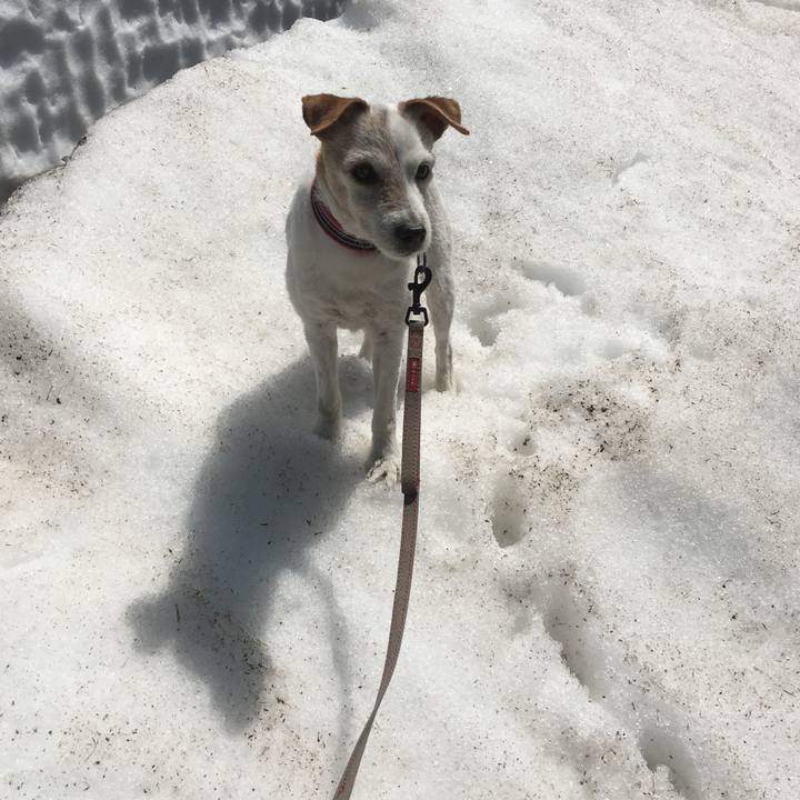 8ee52620 7d32 4ed7 b160 4d7f416b295e