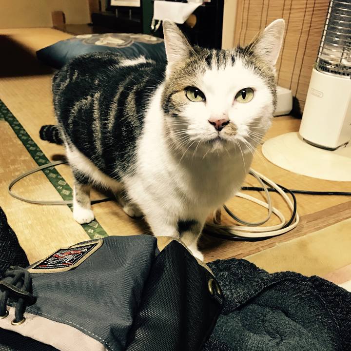 8ee547e5 67e3 4887 85fd 976378249e88