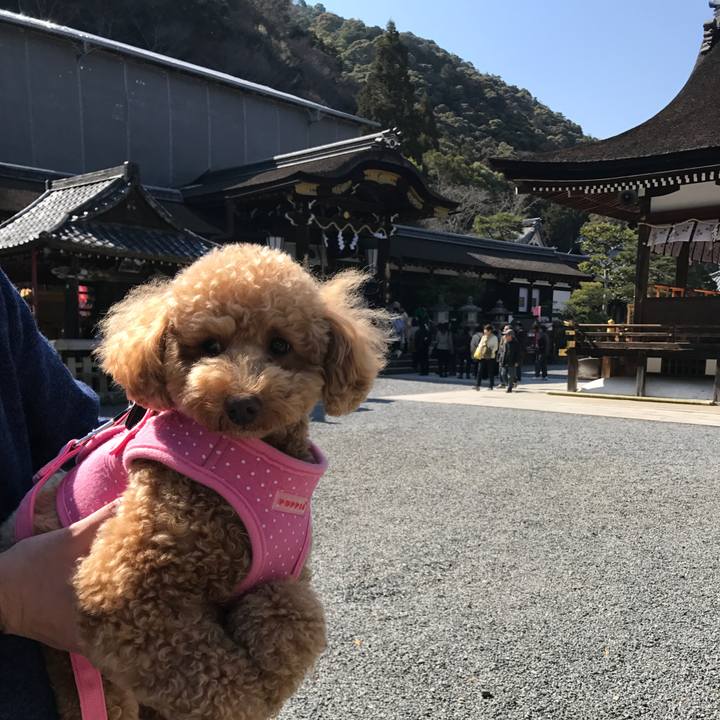 8ee5e805 83ca 4fd1 87ce 6d3f98876dba