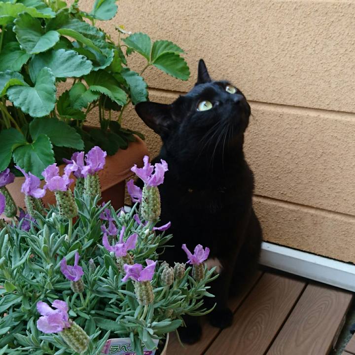 8ee628d5 76df 4821 853b 098ceaa73da1