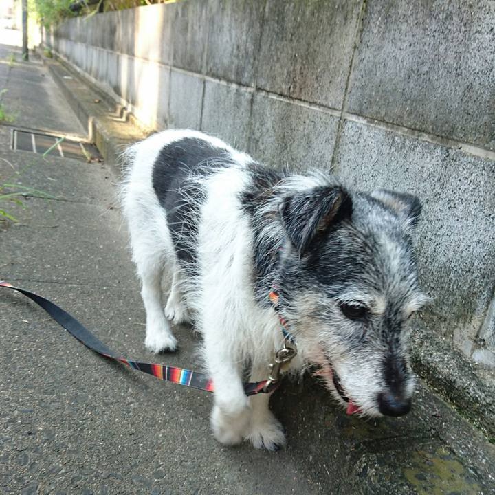 8ee65028 7faa 4489 9dcc cb5dd944d6f5