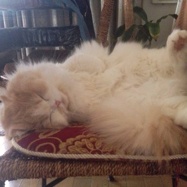 8ee65f17 4283 4610 81a2 ec0698fb3377