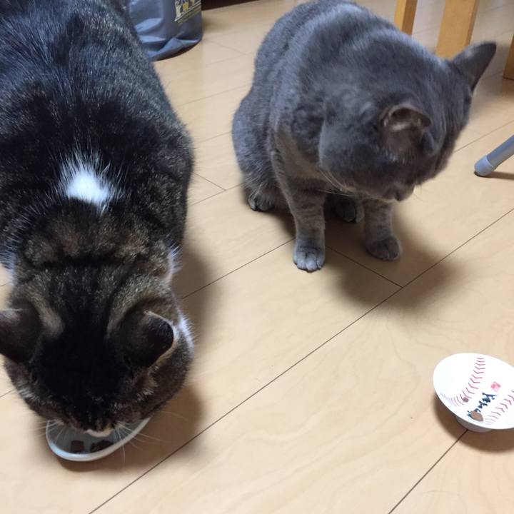 8ee741ce 3b74 4278 be76 cbdd9f5e9335