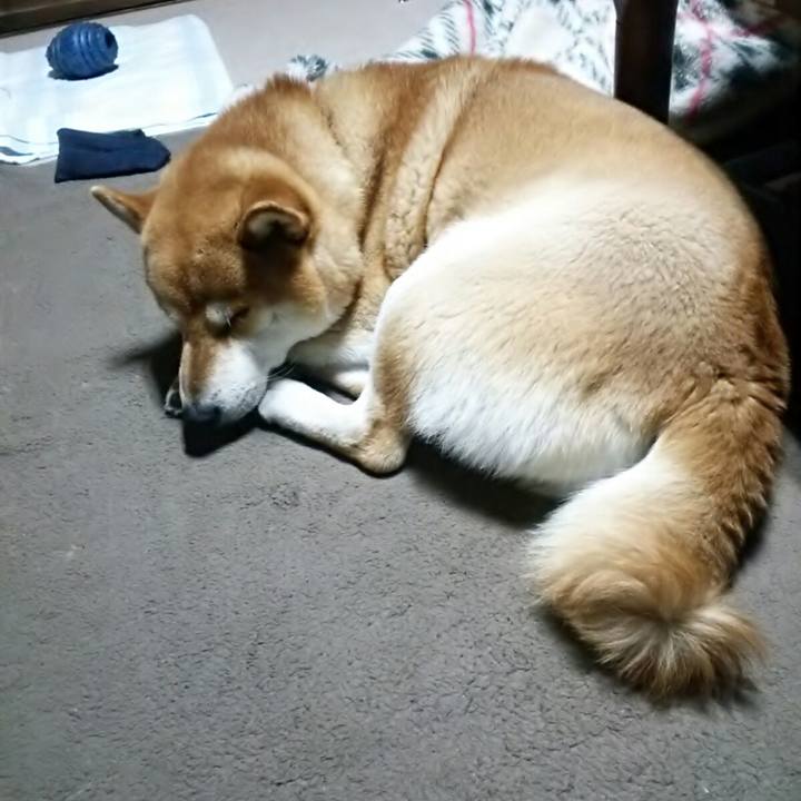 8ee7698f fe5e 4680 b49b 4ea186734f31