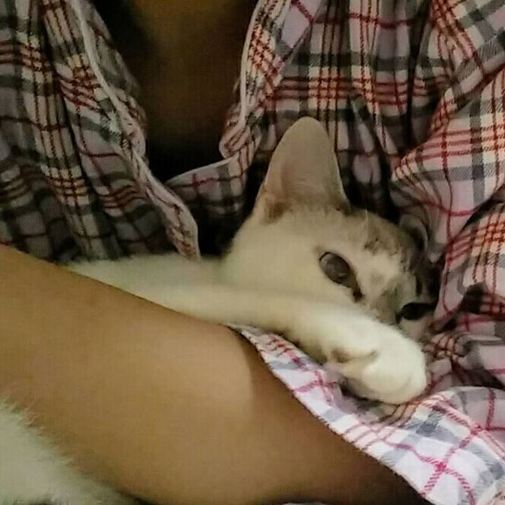 8ee8b910 6ac1 47c5 846d eea3087918f7