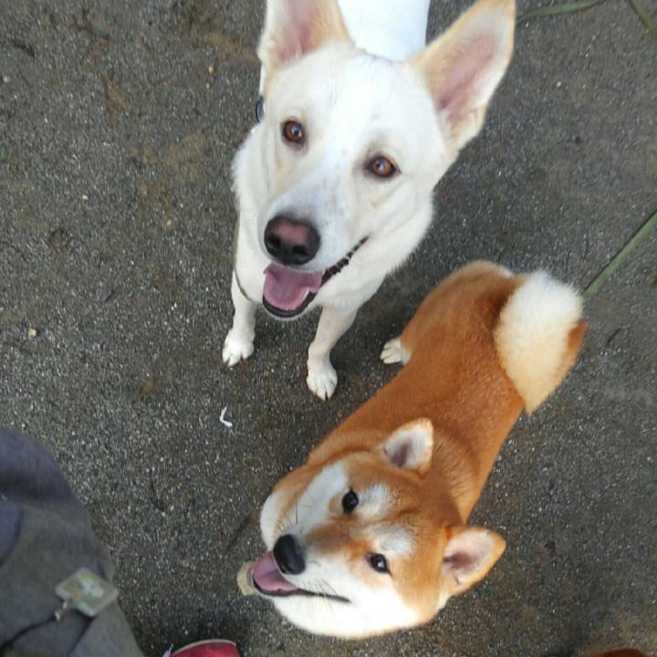 8ee8bf15 d177 426e 8046 c52e7d366eea