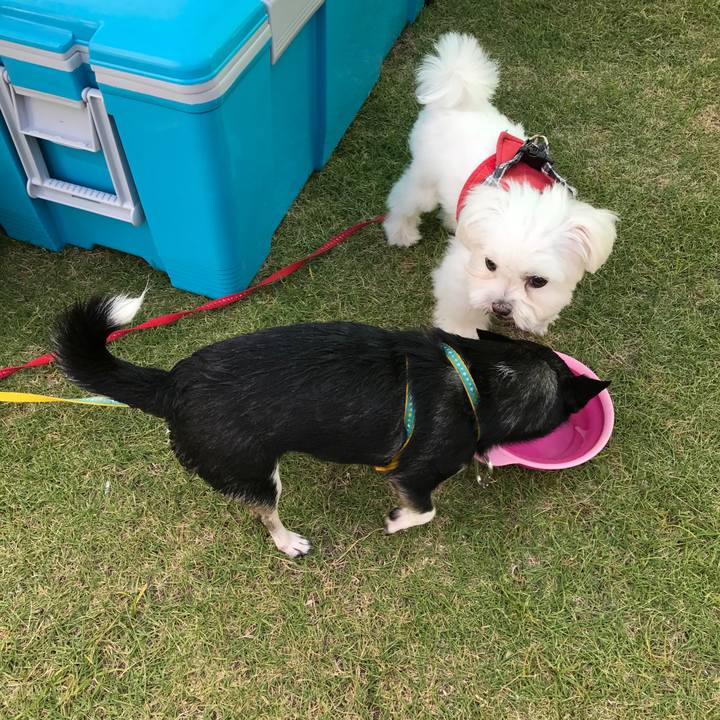 8ee8dba3 eea2 45b4 81d8 c394c33beaf0