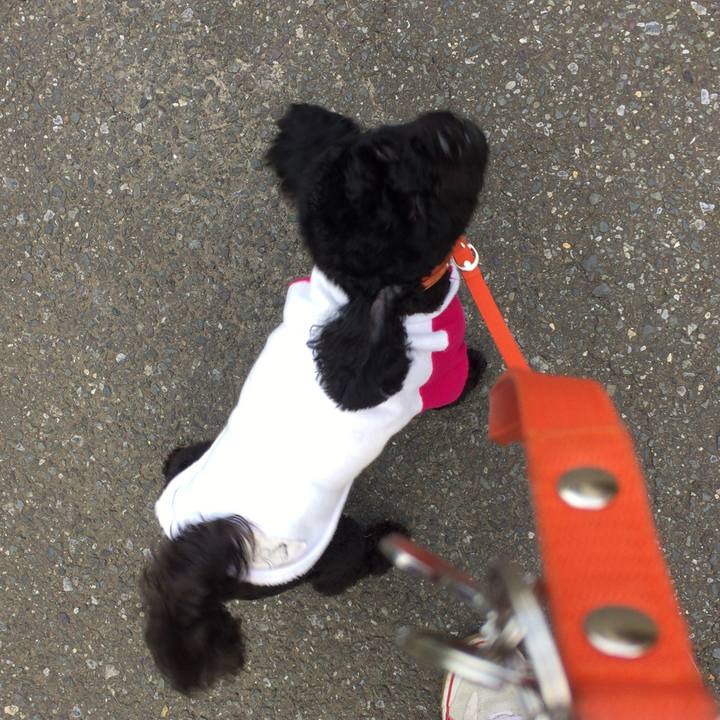 8ee8f08a ff67 4d0a b1da eb3c74db320e