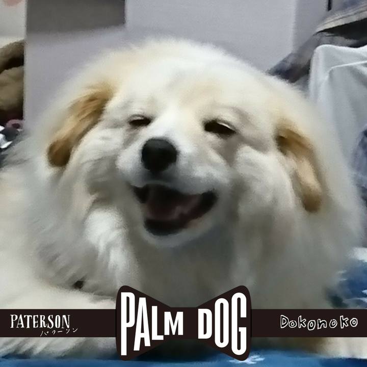 8ee91534 07fd 4feb 8060 ebe40bd71413