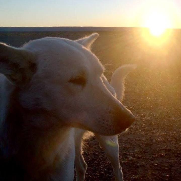 8ee92b2d 860b 40ed afe7 4434dff166ac