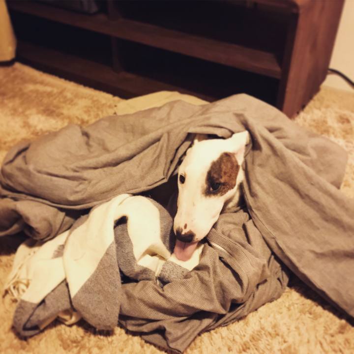 8ee952d0 400a 4729 a4ef 2a3b6f605408