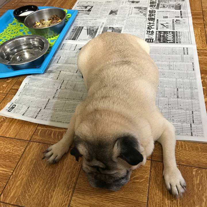 8ee9bfa9 131d 475f af2a 679a499740c8