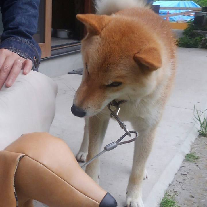 8ee9e3a0 ad04 4dcb 8000 11e9b78fa063