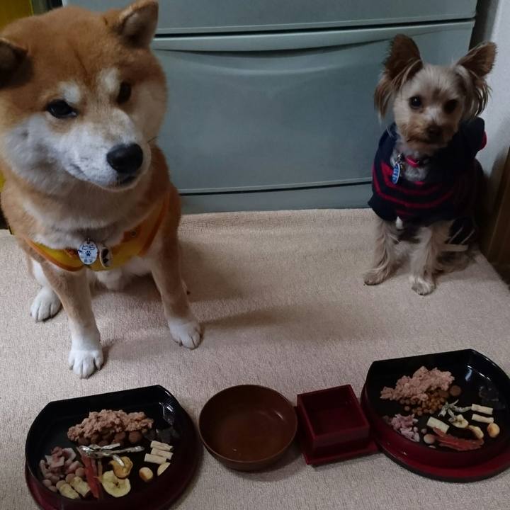 8eea3fc7 75a2 4693 8773 4111dbb5147a