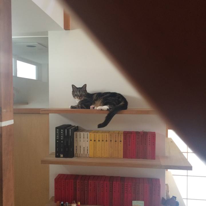 8eeaad42 f0bd 4189 bcb3 f31e4aebbca1