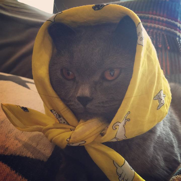 8eebdda3 68a7 4487 9cd3 66f9ceebb290