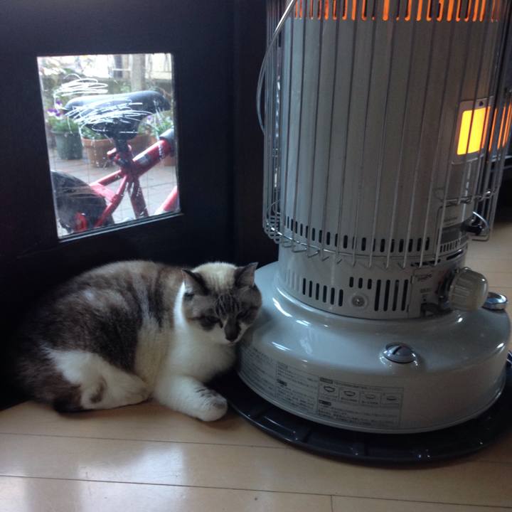 8eebf43d 05b7 42e6 8cbb 4a126537572a