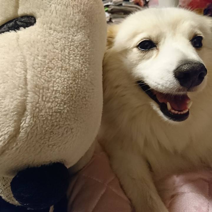 8eedc7be c77f 465b 9cdd 33770136a447