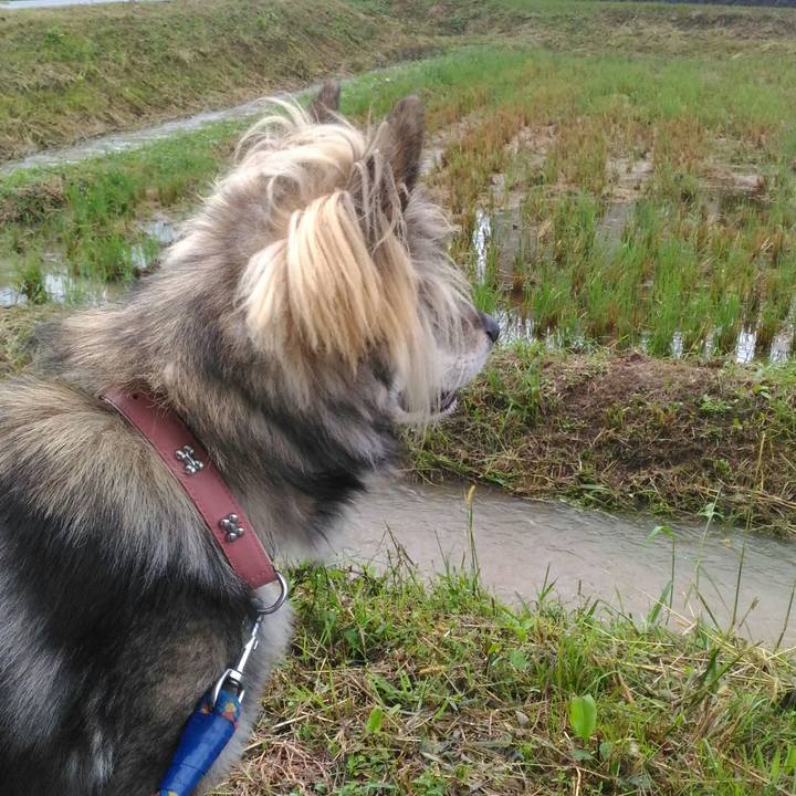 8eedd615 1769 4f5c a8ad 81669540d39d