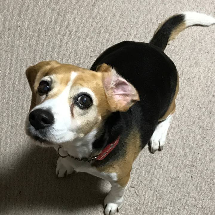 8eedeff9 7dc1 4b93 a2a0 2a85c3546946