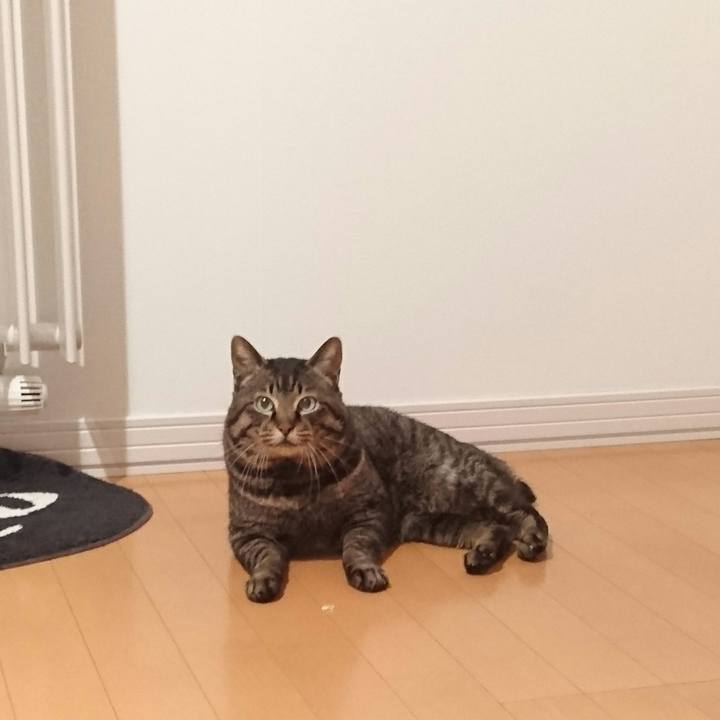 8eee7fcf 4173 4144 960d 435296351f31