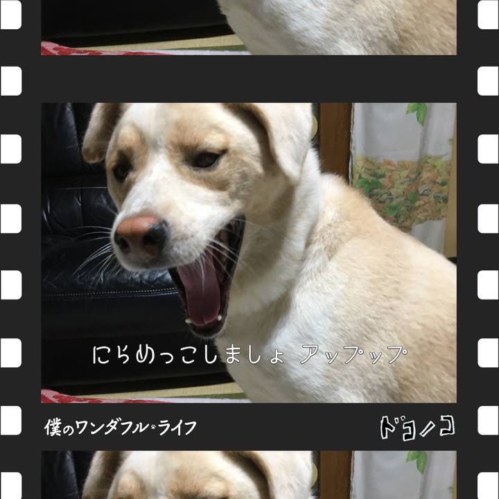 8eee806b c896 4120 9420 8961c2db47b9