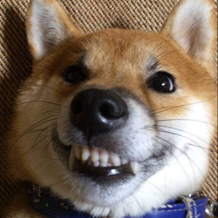 8eeea946 67d9 4b9f a76d 029f574624eb