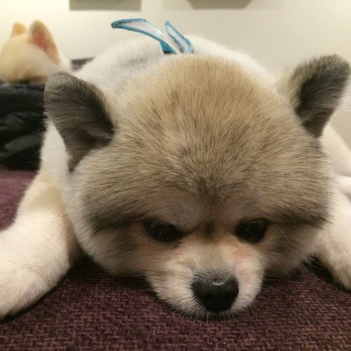 8eeed81a c2f2 49dc b833 d50d283c8e38