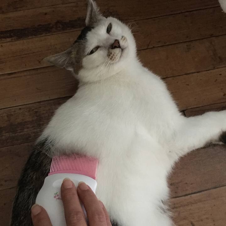 8eef34d6 74bb 453c 8cec ac6e7bb2a119