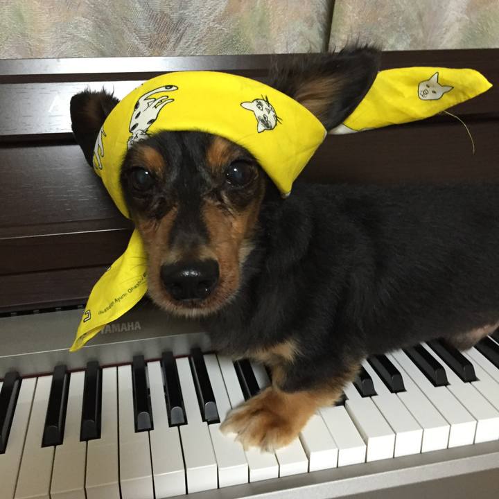 8ef0bcb9 c20f 454b a824 33d16168c6fb