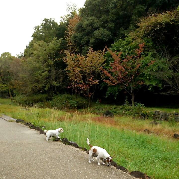 8ef0c98d b5fe 47ef 8ec3 3b1c791dca18