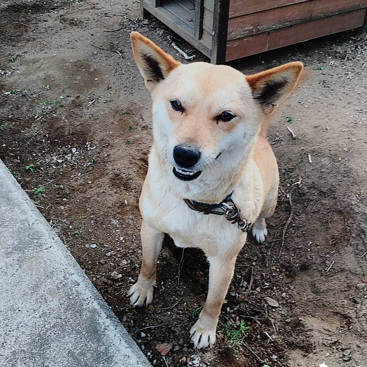 8ef1fb28 e85a 4990 8ddc 0395ebb8a348