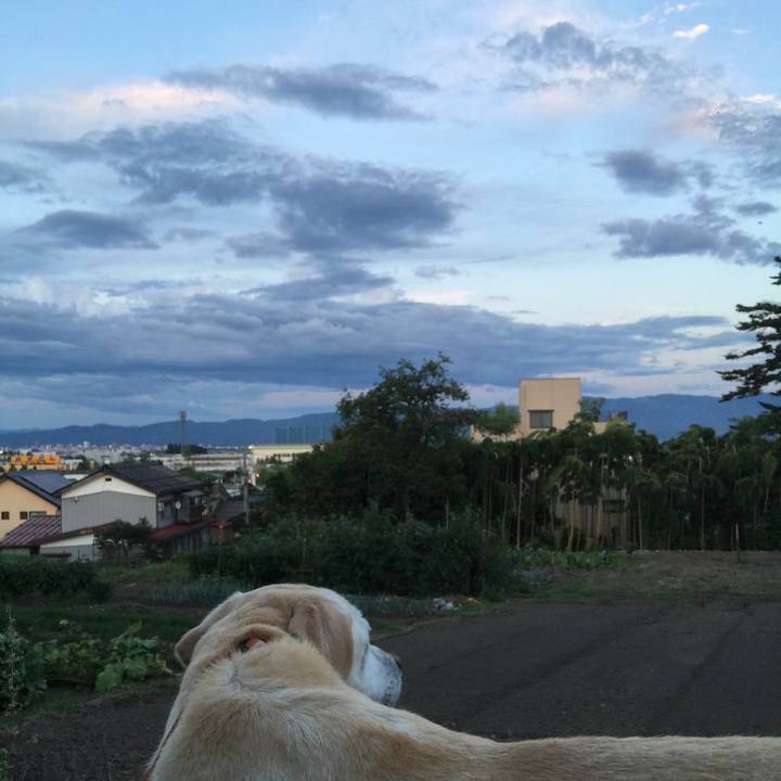 8ef20f43 5375 4e19 ac96 c838b83aefb0