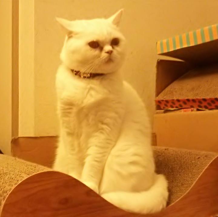 8ef23d62 3c3c 42ca 8e71 5d64f326f153