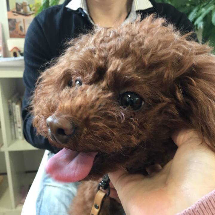 8ef32930 1b5d 4b9d a13c 91a33719f163