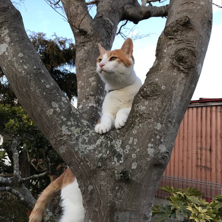 8ef33951 e356 4d51 830a 2271fb758e68