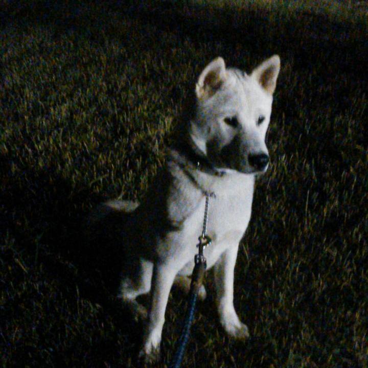 8ef3c060 04f2 4740 a5a3 7e01ad31d6b3