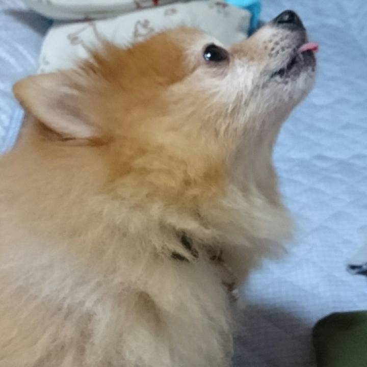 8ef3c273 1765 4a15 8126 9163946745a5