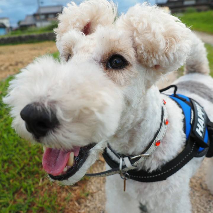 8ef404ff f2a5 4f52 b57b b1e7271cde13