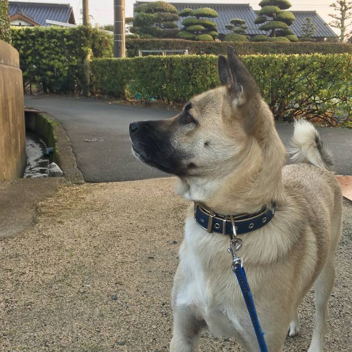 8ef4a5c5 fef7 43b2 96a7 6035c01565d8