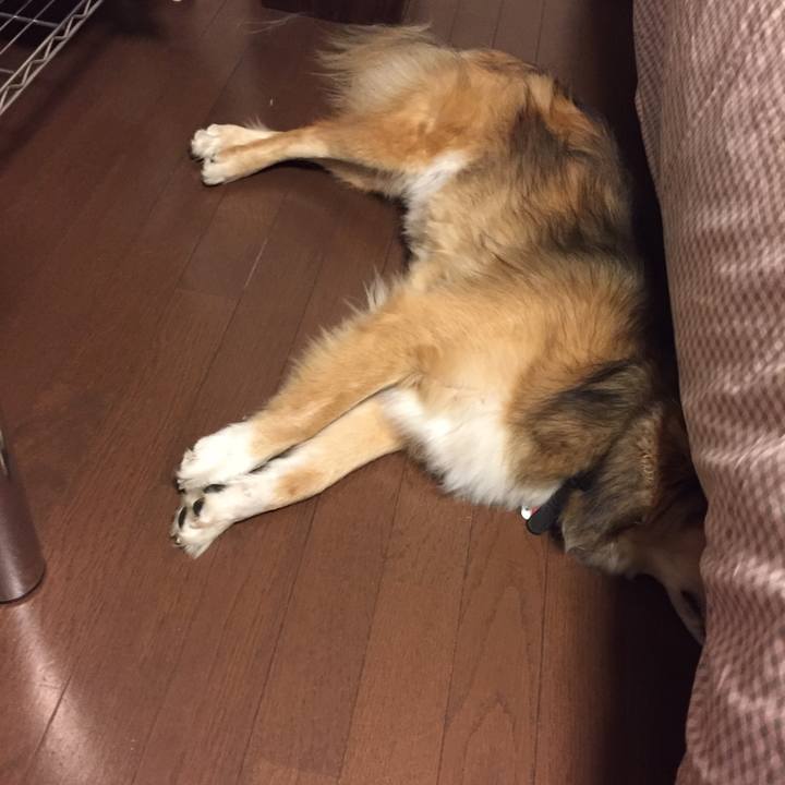 8ef4e76c 000b 479d af9b 18161ee717ee