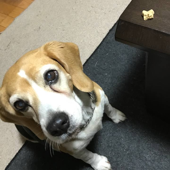 8ef523d8 a562 4e5a a2d9 bab4a4fa3f02