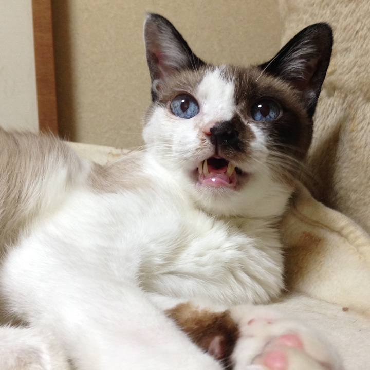 8ef6069e 1b91 4ef4 ac80 337653a4f5e4