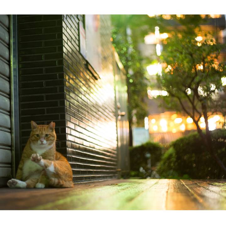 8ef65c84 df81 4c7f 99a2 d6238392e026