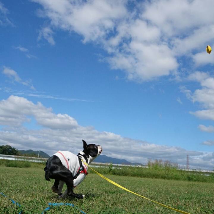 8ef66241 d284 4681 9fa6 73a2b9eb24ca